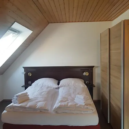 Eisberg Gaestehaus & De Luxe * Friesenheim (Baden-Wurttemberg)